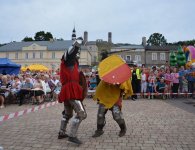 Piknik historyczny w Chęcinach