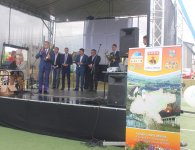 21 milionów dla Mniowa