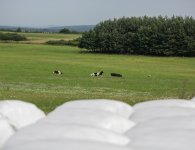 Poznajmy starostów dożynek powiatu kieleckiego i gminy Pierzchnica