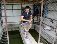 Poznajmy starostów dożynek powiatu kieleckiego i gminy Pierzchnica