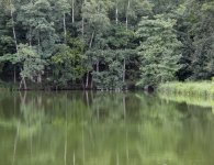 Poznajmy starostów dożynek powiatu kieleckiego i gminy Pierzchnica