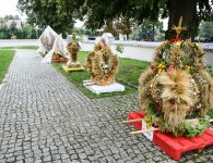 Dożynki Powiatowe w Pierzchnicy