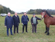 Miłośnicy koni zebrali się w Woli Łagowskiej