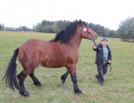 Miłośnicy koni zebrali się w Woli Łagowskiej