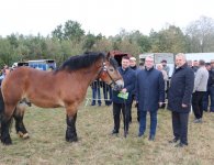 Miłośnicy koni zebrali się w Woli Łagowskiej