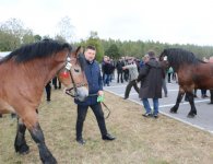 Miłośnicy koni zebrali się w Woli Łagowskiej