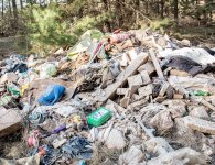 TrashTag Challenge w gminie Sitkówka-Nowiny