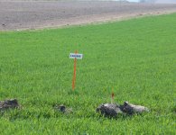 Przebudowa odcinka drogi wojewódzkiej 728