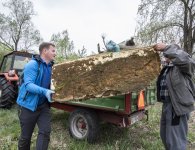 Wielkie sprzątanie gminy Sitkówka-Nowiny