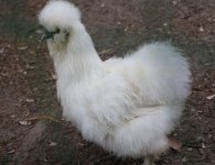 Inauguracja sezonu turystycznego w ZOO Leśne Zacisze