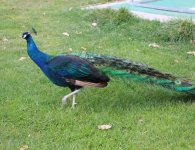 Inauguracja sezonu turystycznego w ZOO Leśne Zacisze