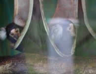 Inauguracja sezonu turystycznego w ZOO Leśne Zacisze