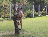 Inauguracja sezonu turystycznego w ZOO Leśne Zacisze