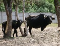 Inauguracja sezonu turystycznego w ZOO Leśne Zacisze