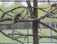 Inauguracja sezonu turystycznego w ZOO Leśne Zacisze