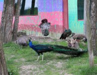 Inauguracja sezonu turystycznego w ZOO Leśne Zacisze