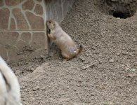 Inauguracja sezonu turystycznego w ZOO Leśne Zacisze