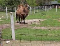 Inauguracja sezonu turystycznego w ZOO Leśne Zacisze