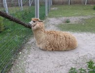 Inauguracja sezonu turystycznego w ZOO Leśne Zacisze