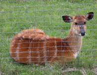 Inauguracja sezonu turystycznego w ZOO Leśne Zacisze