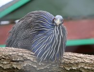 Inauguracja sezonu turystycznego w ZOO Leśne Zacisze