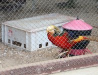 Inauguracja sezonu turystycznego w ZOO Leśne Zacisze