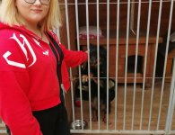 Przytulisko dla bezdomnych zwierząt w Rytlowie