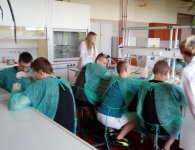 Ciekawość pomaga się nam uczyć … - „Każdy może zostać naukowcem 2”