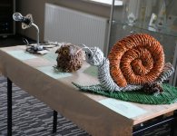 Laureaci konkursów ekologicznych nagrodzeni