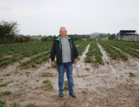 Poznajmy starostów dożynek