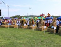 Dożynki Powiatu Kieleckiego i Gminy Mniów