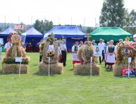 Dożynki Powiatu Kieleckiego i Gminy Mniów