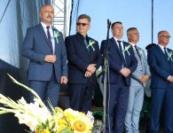 Dożynki Powiatu Kieleckiego i Gminy Mniów