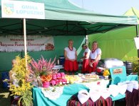 Dożynki Powiatu Kieleckiego i Gminy Mniów