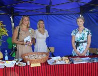 Dożynki Powiatu Kieleckiego i Gminy Mniów