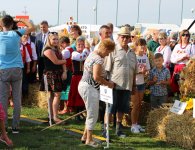 Dożynki Powiatu Kieleckiego i Gminy Mniów