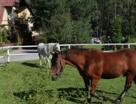 Zagroda Edukacyjna 