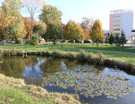 Konwent Powiatów Województwa Świętokrzyskiego