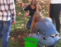 Projekt „Kultura pod chmurką”