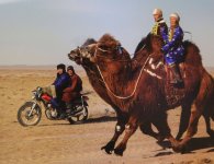 Niezwykła Mongolia