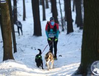 IV Zimowy Maraton Świętokrzyski 