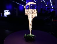 Świętokrzyskie Gwiazdy Sportu 2019