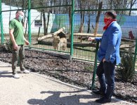 „Leśne zacisze” w Lisowie