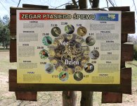 „Leśne zacisze” w Lisowie