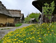 Muzea przygotowują się do otwarcia