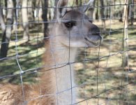 Jaskinia, zoo, muzeum. Kolejne miejsca dla turystów