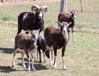 Jaskinia, zoo, muzeum. Kolejne miejsca dla turystów