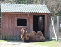 Jaskinia, zoo, muzeum. Kolejne miejsca dla turystów