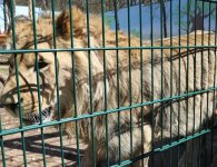 Jaskinia, zoo, muzeum. Kolejne miejsca dla turystów