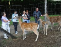 DO ZOBACZENIA W POWIECIE SŁUPSKIM
